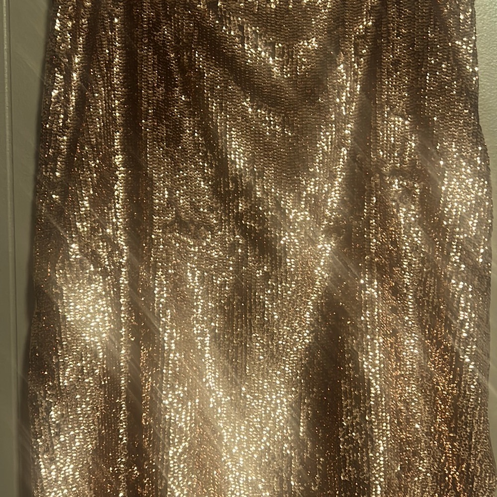 Jcrew sequin skirt